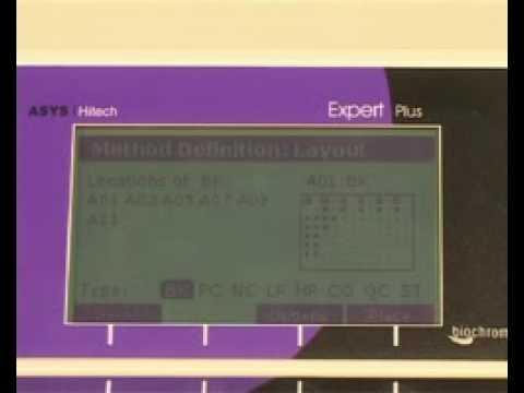 Expert Plus